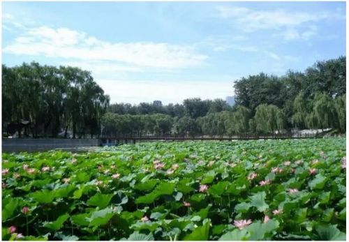 2016北京玩博會，7月14日歡聚全國農業展覽館新館