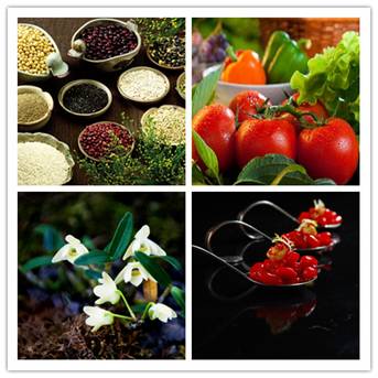 中國有機食品展9月廣州舉行 數(shù)萬優(yōu)質(zhì)買家云集(圖2) 中國有機食品展9月廣州舉行 數(shù)萬優(yōu)質(zhì)買家云集(圖2)